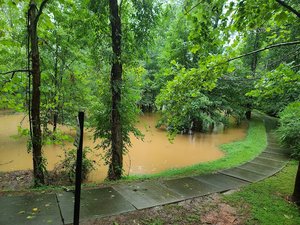 Manchester Creek Trails