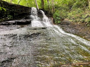 Padgett Falls