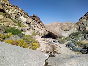 Grapevine Canyon Trailhead