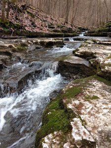 Raven Run Nature Center