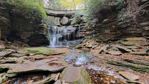 Elakala Falls Trail