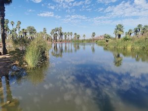 Community Fishing Water