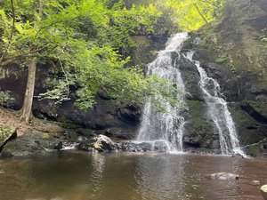 Spruce Flats Falls Trailhead