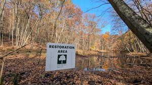 Marian Yarrow Preserve