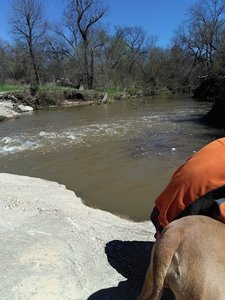 Buffalo Creek