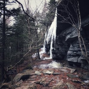 Shanty Spring