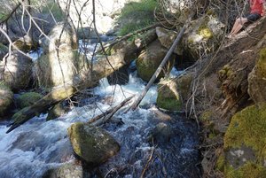 Mill Creek Falls