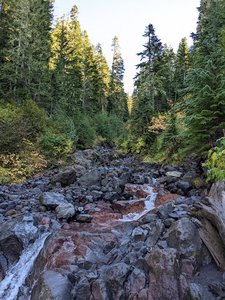 Heliotrope Ridge Trailhead