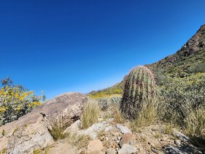 Waterfall Canyon Trail