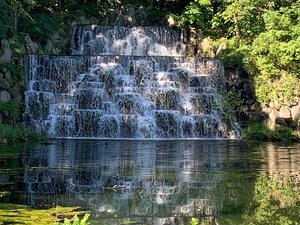Duke Farms