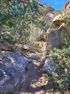 First creek second waterfall