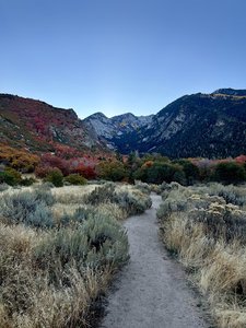 Upper Bell Canyon Reservoir