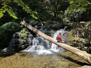 Dunnfield Creek Natural Area trailhead