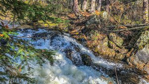 Eighteenfoot Falls