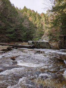 True’s Ledges Natural Area