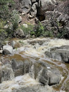 Wolf Creek