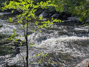 Jennings Falls Trailhead