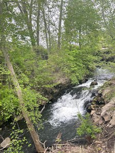 McCoy Creek Trail