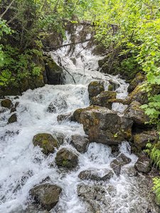 Pioneer Creek