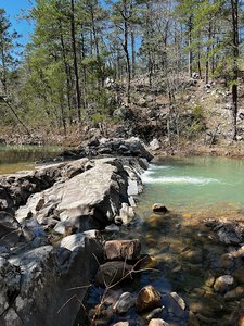 Forked Mountain Bluff Site
