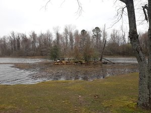 Paradise Lake