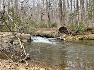 Quantico Cascade Trailhead (Parking Lot E)