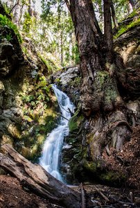 Canyon Falls