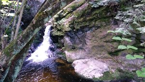 Welton Falls