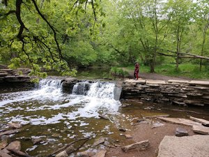 Waterfall Glen Main Parking