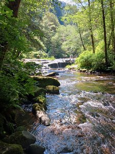 Elk Wallow Falls