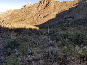 Chino Basin