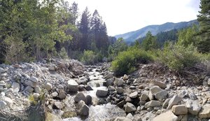 Ophir Creek