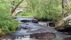 Stepstone Falls Waterfall and Hiking Paths – Part of Arcadia Management Area