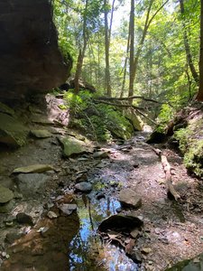 Alice Knight Memorial Trail