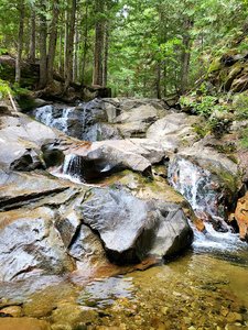 Viewski trail loop