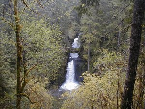 Trailhead: Curly Creek Falls