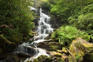 Alarka Creek Falls Trailhead