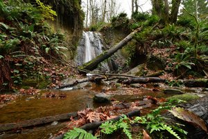 North Fork Falls