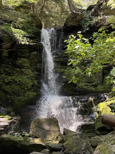 Bucks Falls