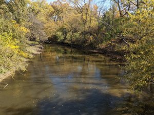 Forest Glen Woods