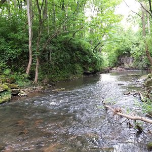 Massie’s Creek Cascades (Waterfalls)
