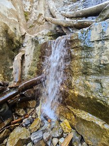 Little Falls