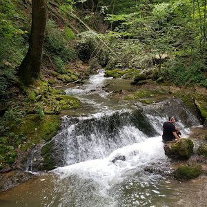 Roaring Run Day Use Area
