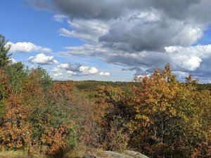 Noanet Woods lookout
