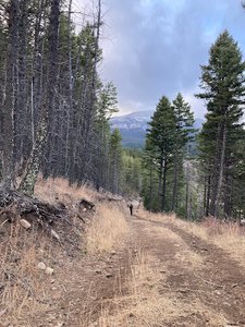 Falls Creek Trailhead