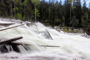 Crazy Creek Falls