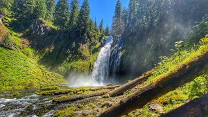 Lemolo Falls Trailhead