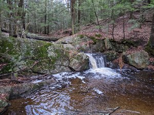 Opacum Land Trust: Dingley Dell Conservation Area