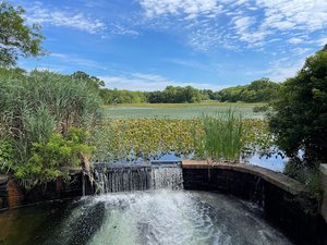 Mill Pond Park and Adam D Rand Memorial Trail