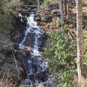 Woodfin Cascades Falls